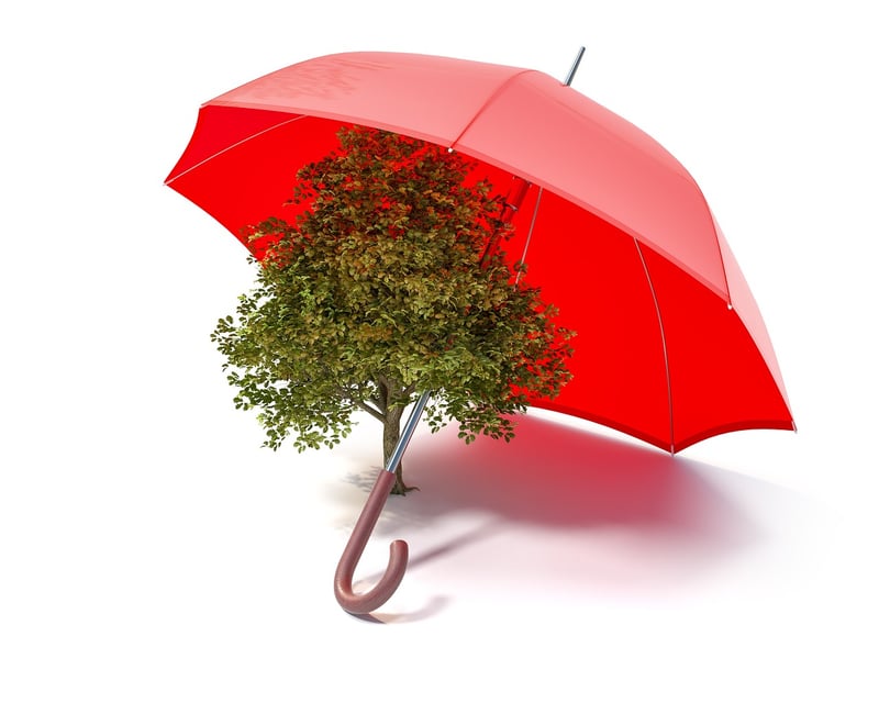 Eco-Friendly Design